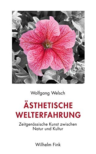 Ästhetische Welterfahrung: Zeitgenössische Kunst zwischen Natur und Kultur von Fink (Wilhelm)